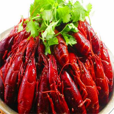 四川麻辣小龙虾技术麻豆AV免费看网站哪里好？底料熬制方法