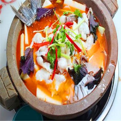 石锅鱼技术麻豆AV免费看网站机构哪里正宗？成都石锅鱼麻豆AV免费看网站中心