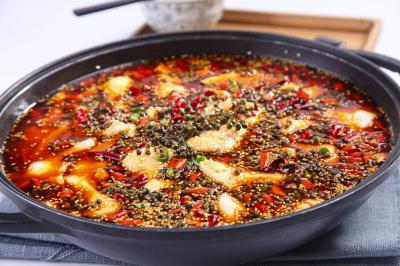 火锅鱼技术麻豆AV免费看网站选正规学校哪家好？