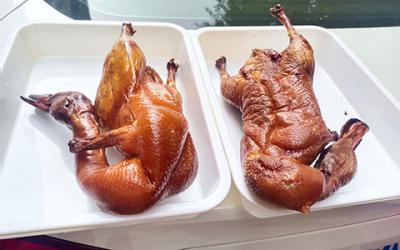 成都冒烤鸭技术麻豆AV免费看网站哪家好?  专业冒烤鸭技术麻豆AV免费看网站
