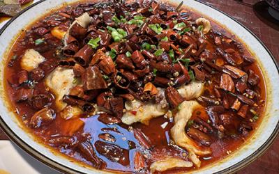 成都凉拌菜麻豆AV免费看网站如何选择？学习凉菜技术哪里好